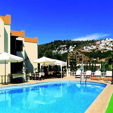 Ale Hotel 3*