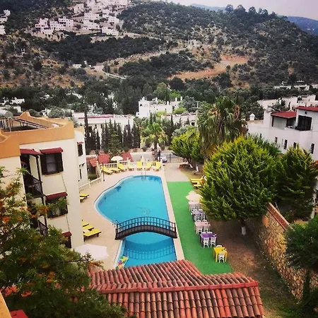 Hotel Ale 3*